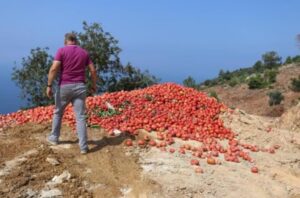 Çöpe Dökülen Sebzelerle İlgili Açıklama