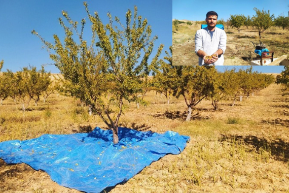 Arkadaşları "Sivas'ta yetişmez" deyip dalga geçmişti! Şimdi siparişlere yetişemiyor