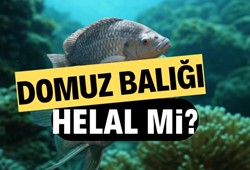 domuz-baligi-helal-mi-domuz-baligi-yemek-caiz-mi.jpg