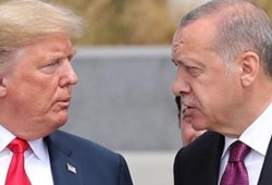 Erdoğan'dan Trump'a tebrik! Bakın ne dedi