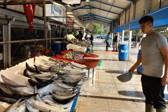 Markette 1 kilo balığın fiyatı sosyal medyada gündem oldu