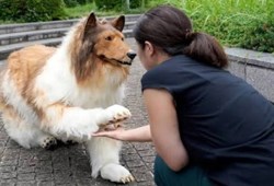 Servet harcayıp köpek olmuştu! İlk kez yüzünü gösterdi