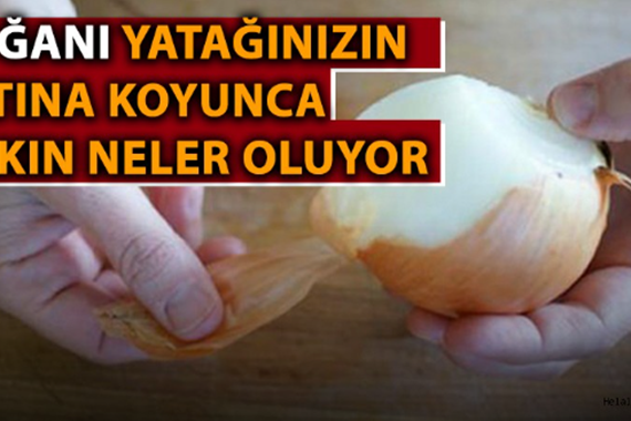 Soğanı yatağınızın altına koyun bakın neler oluyor!