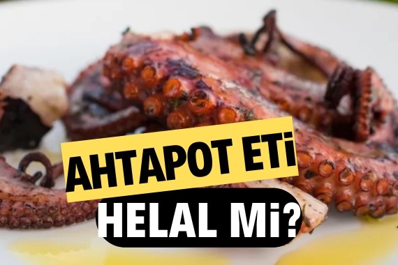 ahtapot-eti-helal-mi-ahtapot-yemek-caiz-mi.jpg