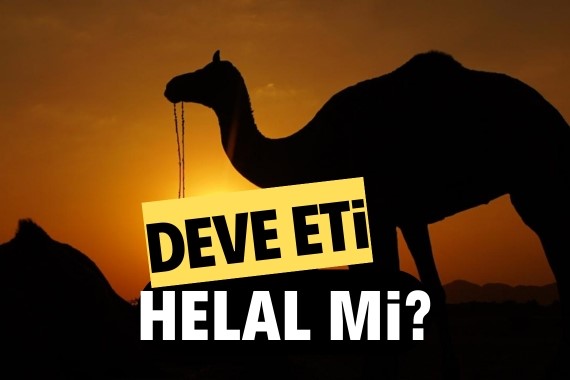 deve-eti-helal-mi-deve-eti-yemek-caiz-mi.jpg