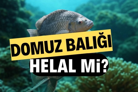 domuz-baligi-helal-mi-domuz-baligi-yemek-caiz-mi.jpg