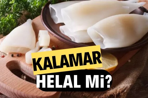 kalamar-helal-mi-kalamar-yemek-caiz-mi.jpg