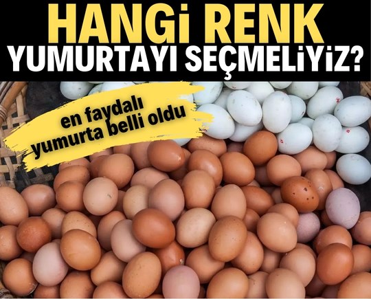 Hangi renk yumurtayı seçmeliyiz? Kahvaltılara dair bilinmeyen gerçekler!