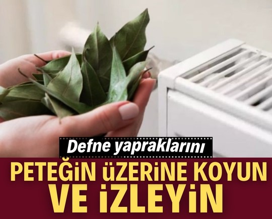 Kalorifer peteklerinin üzerine defne yaprağı koymak bakın ne işe yarıyor