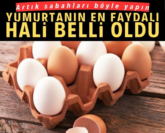 Yumurtanın en faydalı hali belli oldu: Artık sabahları böyle yapın